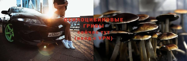 сатива Абдулино