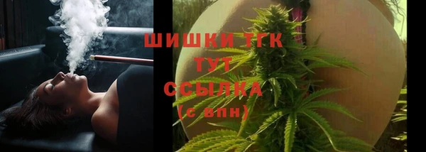 крисы Абаза