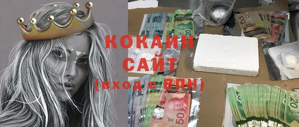 крисы Абаза