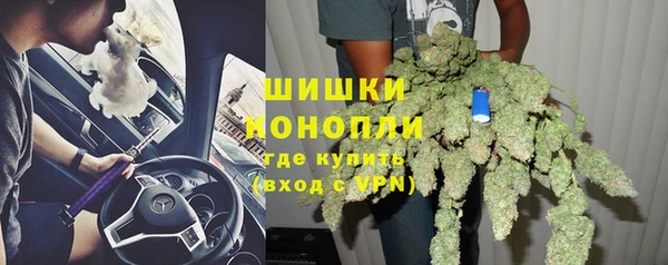 сатива Абдулино