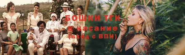 крисы Абаза